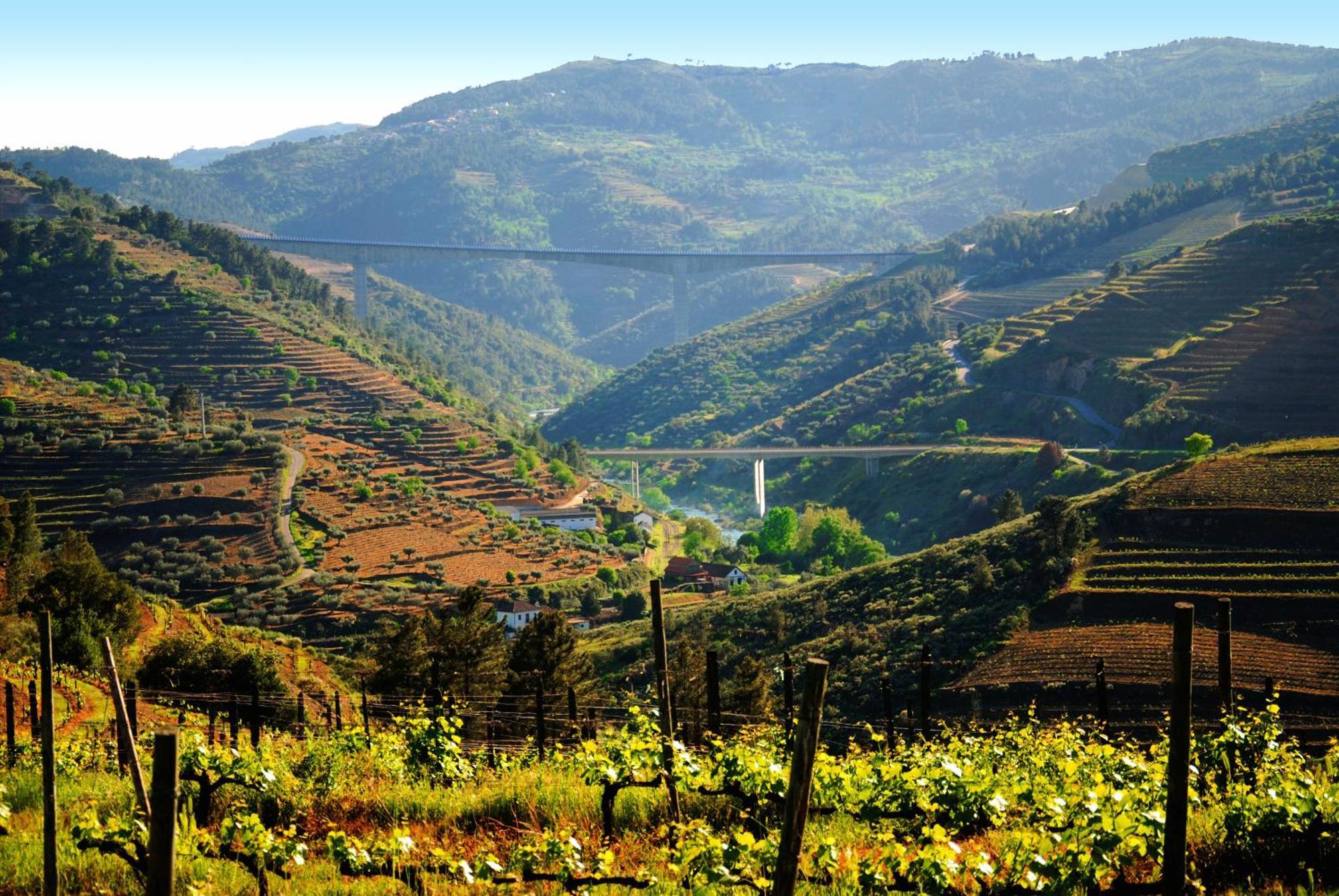 Casa Oliveiras Do Douro Villa Sobreira Luaran gambar