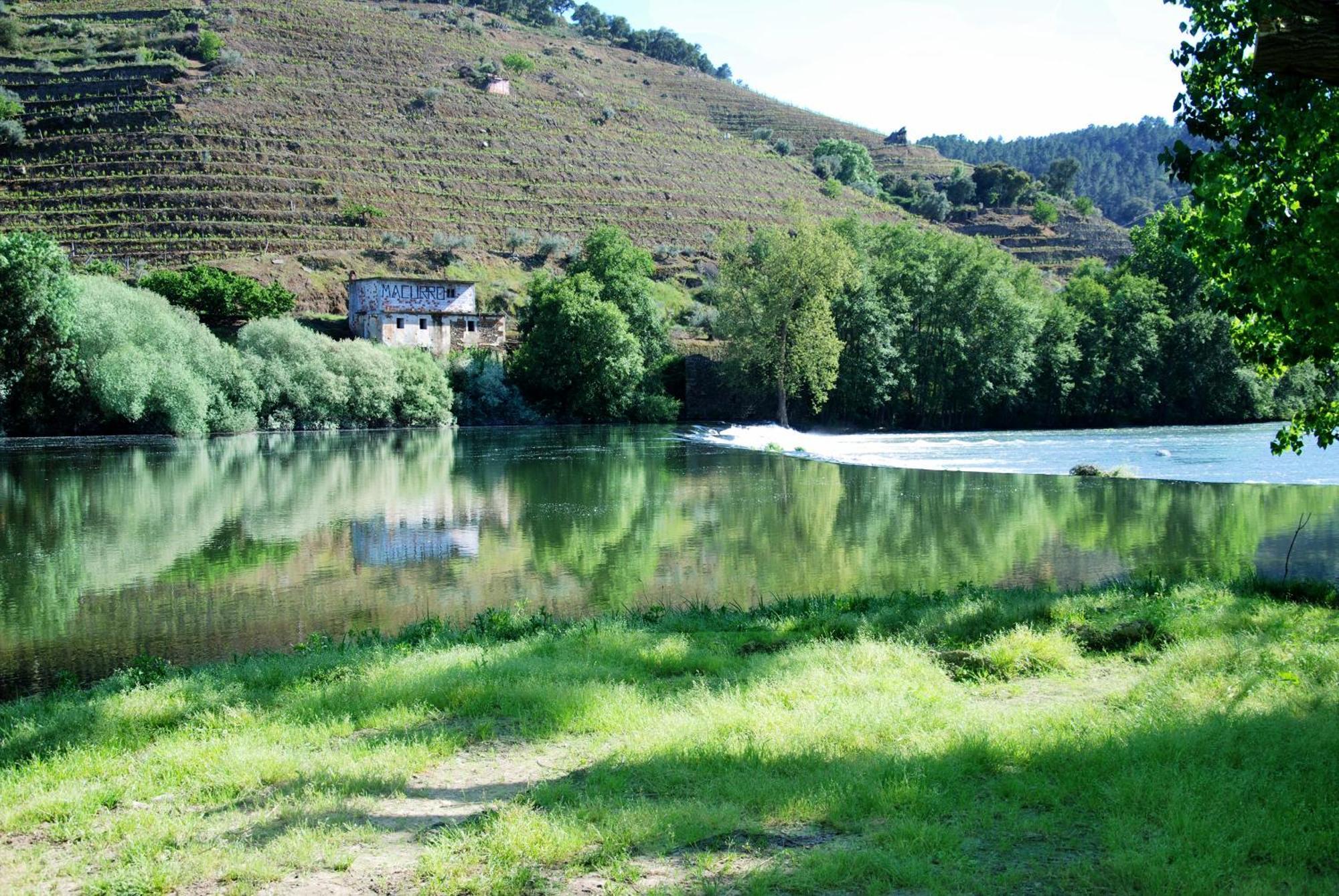 Casa Oliveiras Do Douro Villa Sobreira Luaran gambar