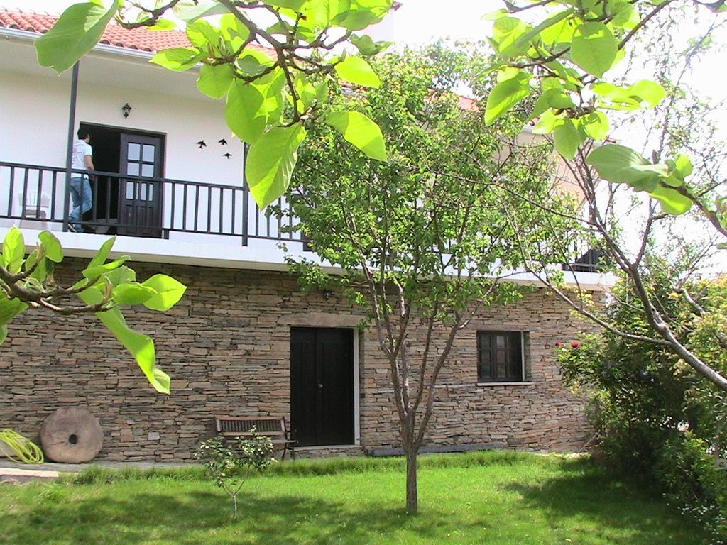 Casa Oliveiras Do Douro Villa Sobreira Luaran gambar