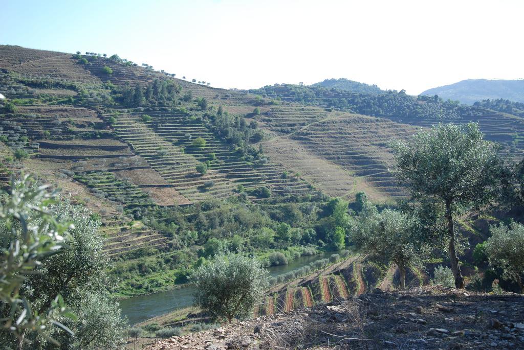 Casa Oliveiras Do Douro Villa Sobreira Luaran gambar
