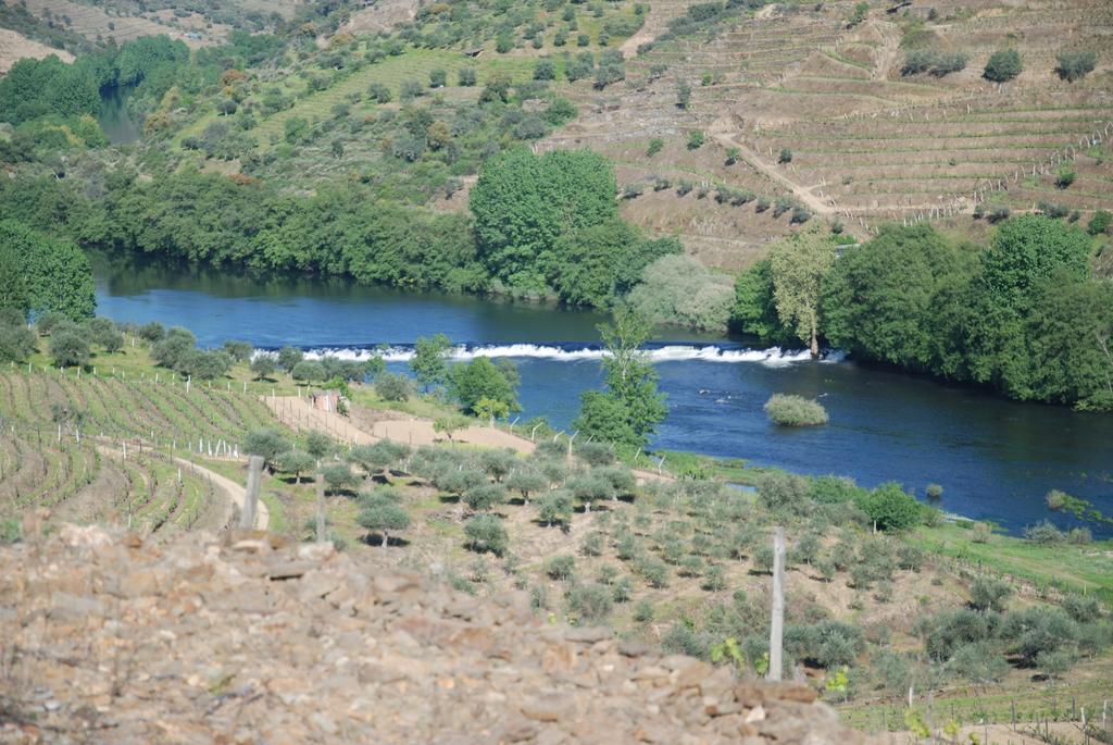 Casa Oliveiras Do Douro Villa Sobreira Luaran gambar